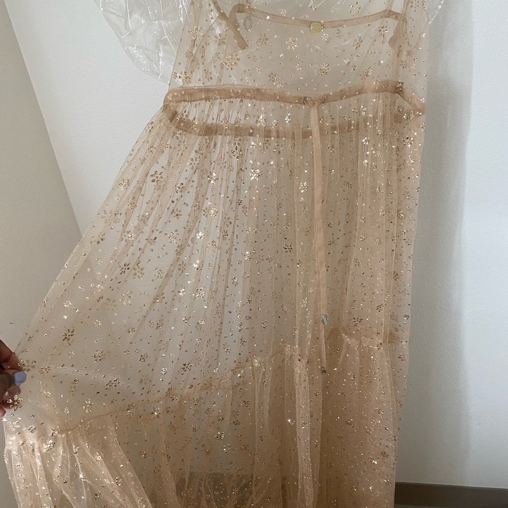 Free People Sheer Maxi Dress